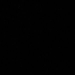 Meet your Posher, Dylan